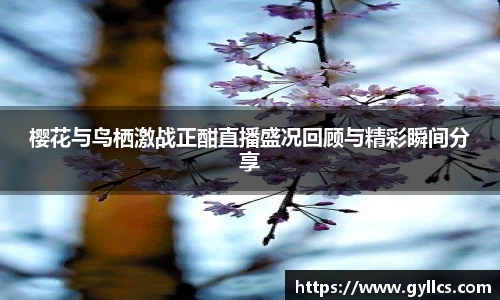 BB贝博登录入口