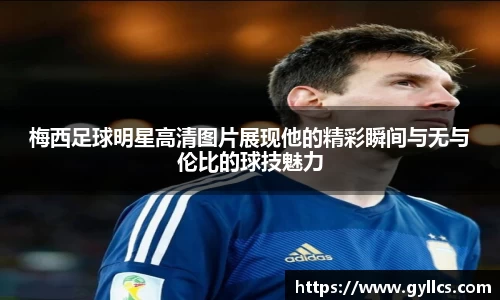 BB贝博登录入口